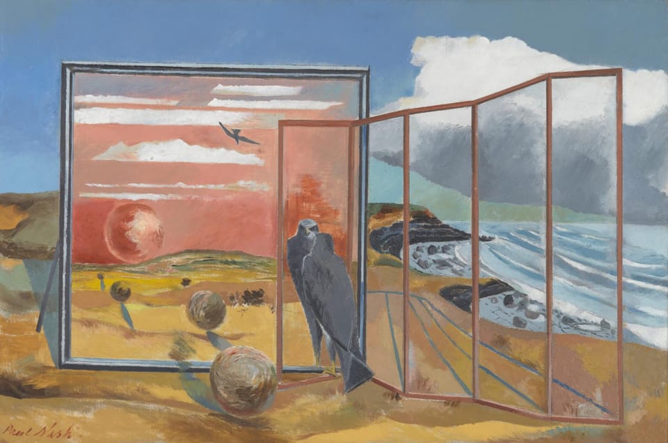 A bird is looking into a mirror that’s also glass door on a beach; brilliant color abound. 